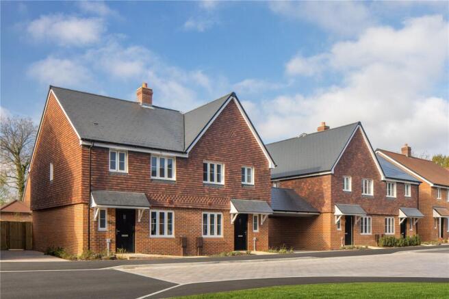 Plot 31