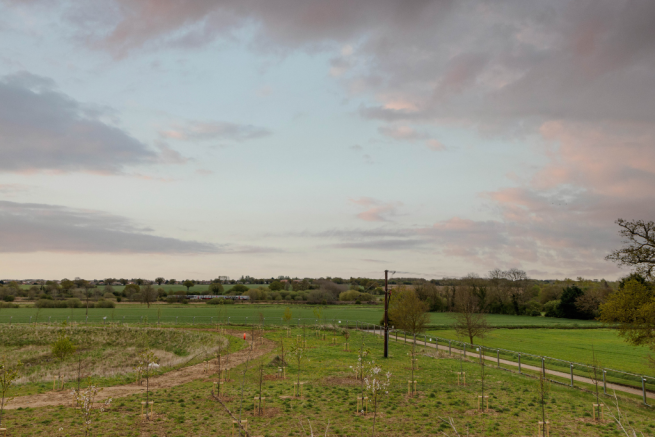Countryside Views