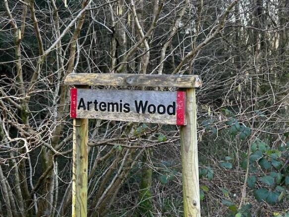 Artemis wood