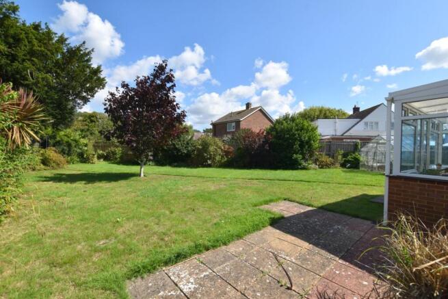 3 Chestnut Blue Sky (9).JPG