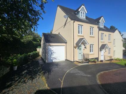 Kestrel Park, Whitchurch, Tavistock