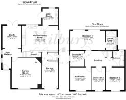 14 The jays, Tytheri