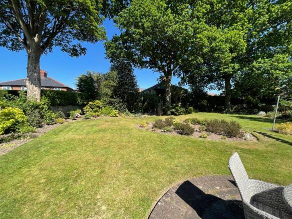 garden 1.jpg