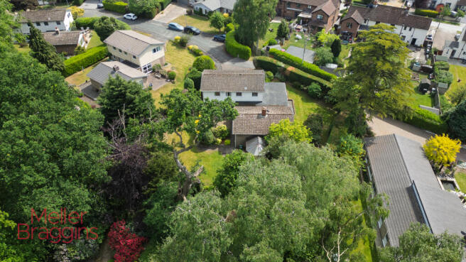 20250511-DJI_0667.jpg