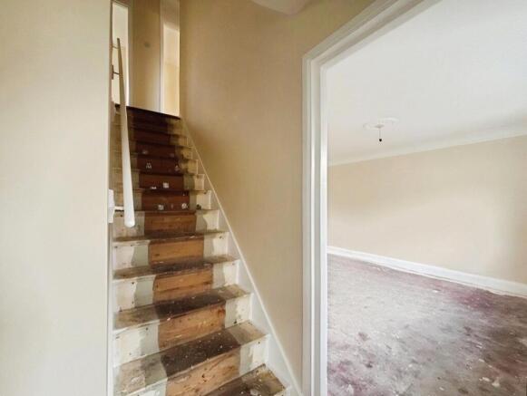 user_edited_photo-a22b7f4e_user-edited-44b6aa92-81