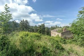 Photo of Tuscany, Siena, Gaiole in Chianti