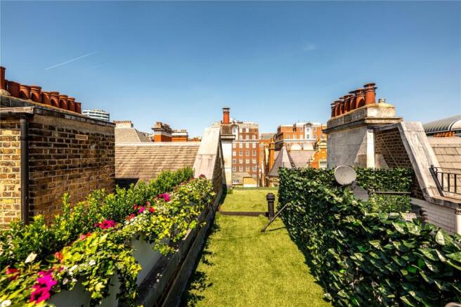 Roof Terrace