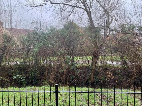 WhatsApp Image 2026-02-03 at 11.10.57 (23).jpeg