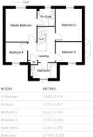 IMG_1951.jpeg