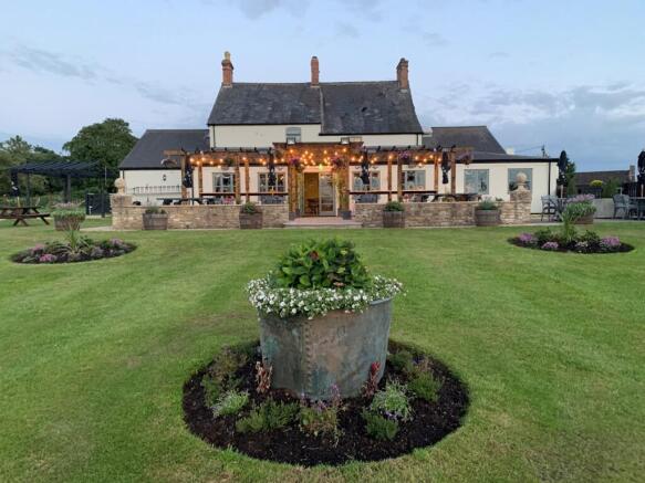 Horse Radish Witney.jpg