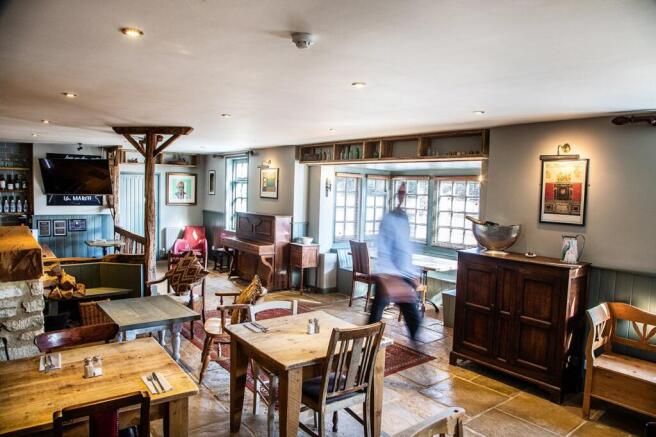 Horse Radish 015.jpg