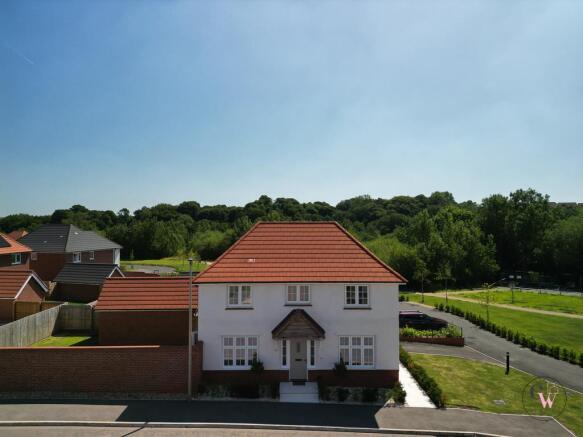 DJI_0893.jpg