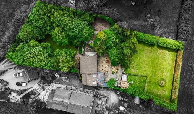 dji_fly_20250616_121230_0050_1750087419902_photo c