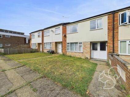 Forest Road, Colchester