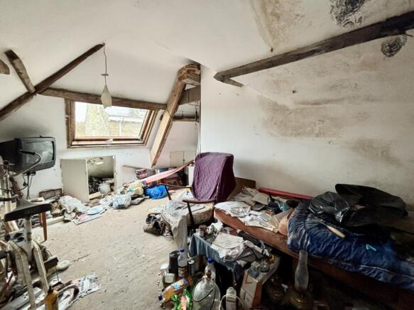 IMG 2244 T202510301357.jpeg