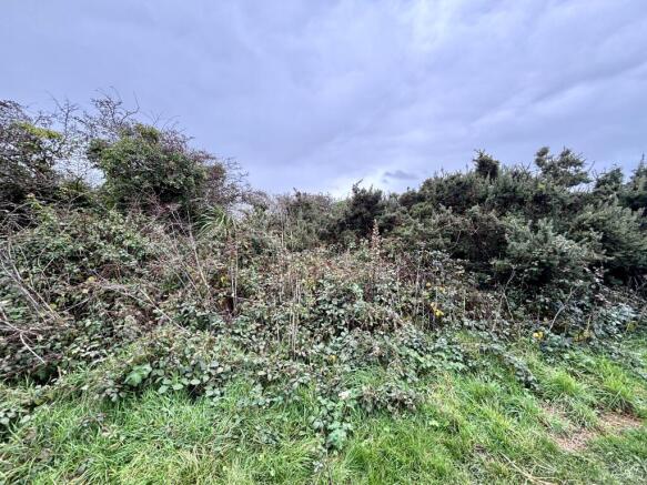 IMG 2296 T202510301126.jpeg