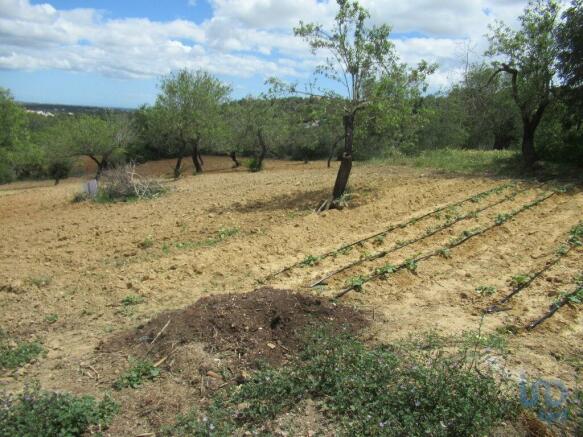 Land For Sale In Algarve, Boliqueime, Portugal