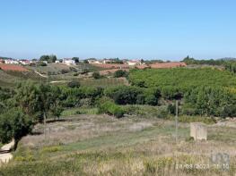 Photo of Lisbon, Cercal