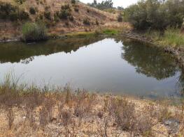 Photo of Algarve, So Marcos da Serra