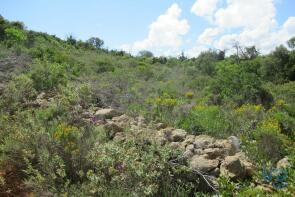 Photo of Algarve, Paderne