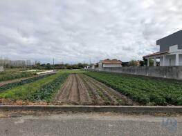 Photo of Leiria, Monte Real