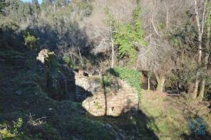 Photo of Beira Litoral, Espinhal