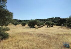 Photo of Alto Alentejo, Elvas