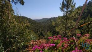 Photo of Algarve, Aljezur