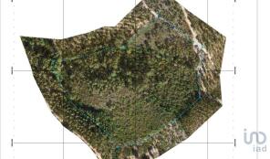 Floor/Site plan 2