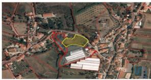 Floor/Site plan 1