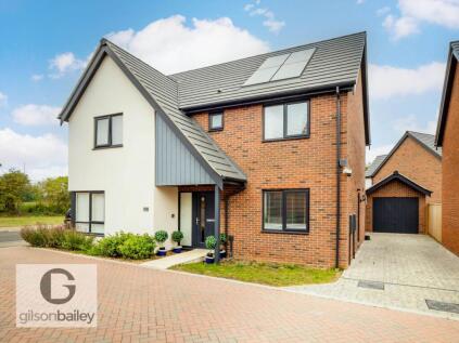 Bittern Avenue, Brundall