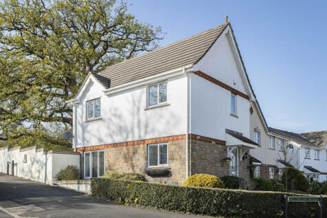 Millstream Meadow, Chudleigh, TQ13