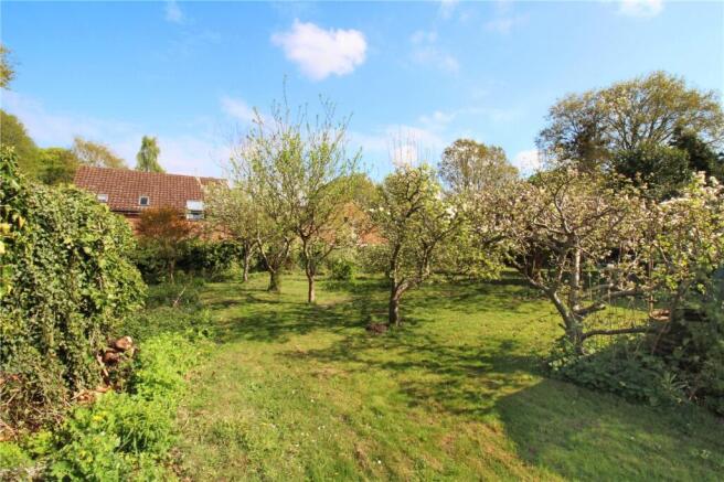 Orchard