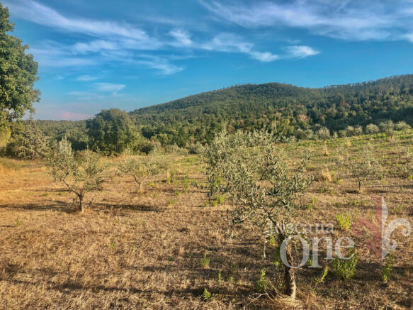 Podere San Marco-21.