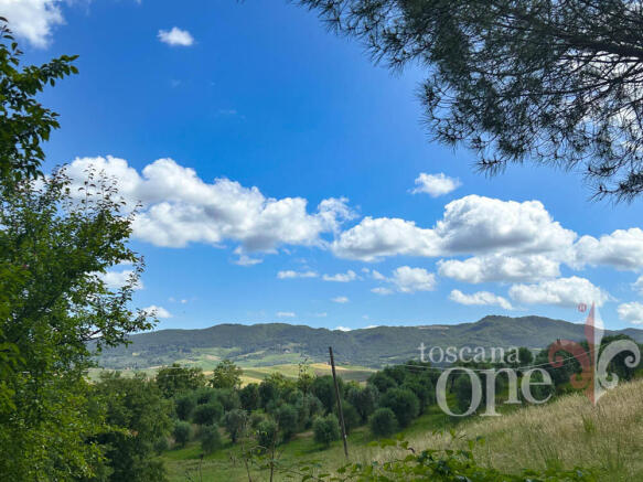 sant'alessandro-4511