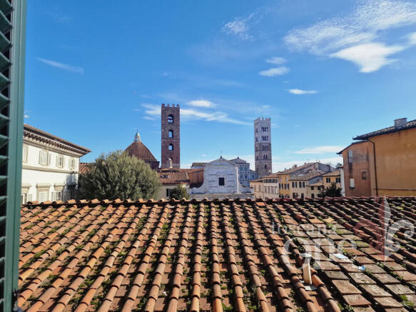 corte paoli -3.jpg