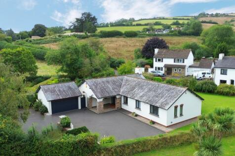 Saxon Meadow, Collaton St. Mary