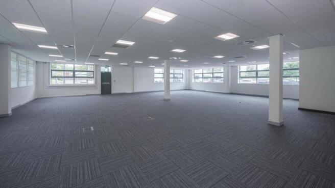 Cedar_Tree 19 of 26.jpg