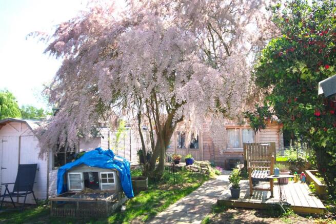 Rerar Garden c.JPG