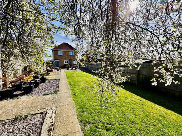Lawn & Rear of Property 