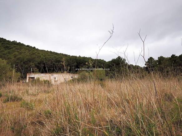 Surroundings