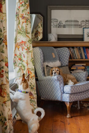 290214 - The Old School, White Colne-55.jpg