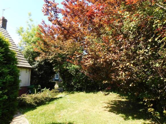 67 SDR Garden1.JPG