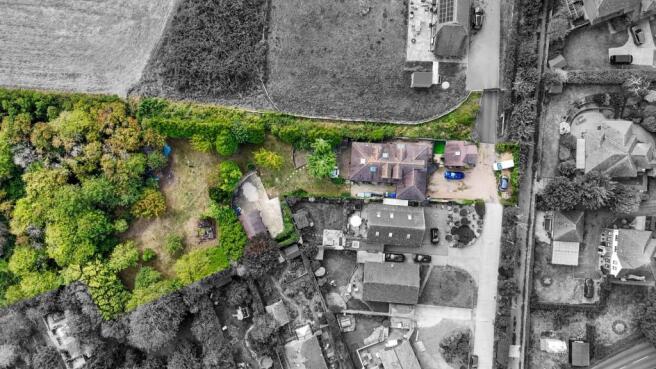 Bush Road, 8 Drone Shots-010 B&W2.jpg