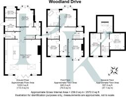Woodland Drive,.jpg