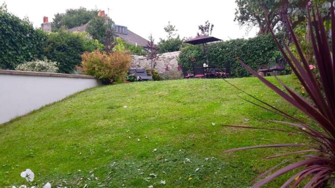 garden 1.jpg