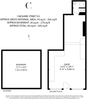 Floor/Site plan 1