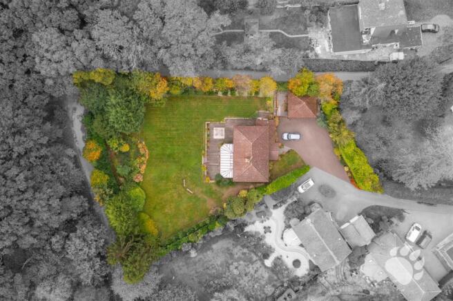 Drone Shot
