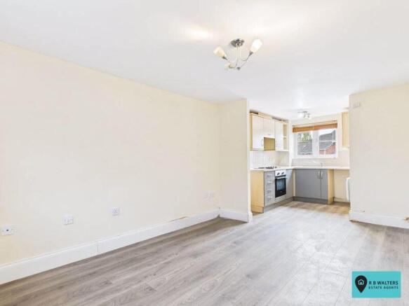 Living / Kitchen Area