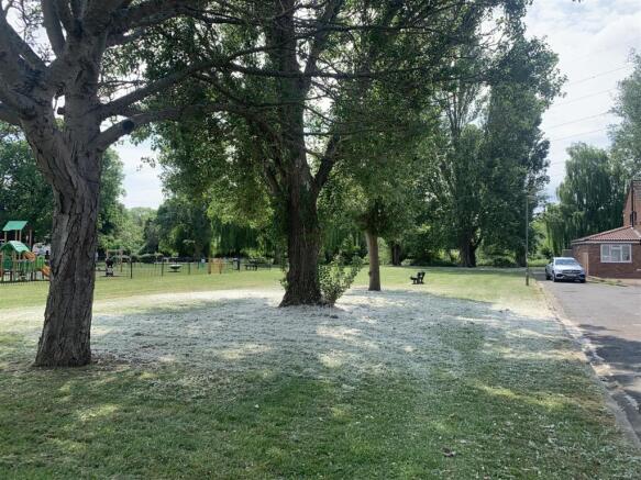 New park photo.jpg